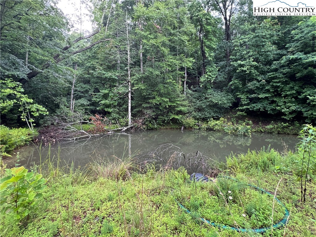 Staghorn Road Purlear, NC 28665 - Photo 7 of 50 a view of a water pond with green yard