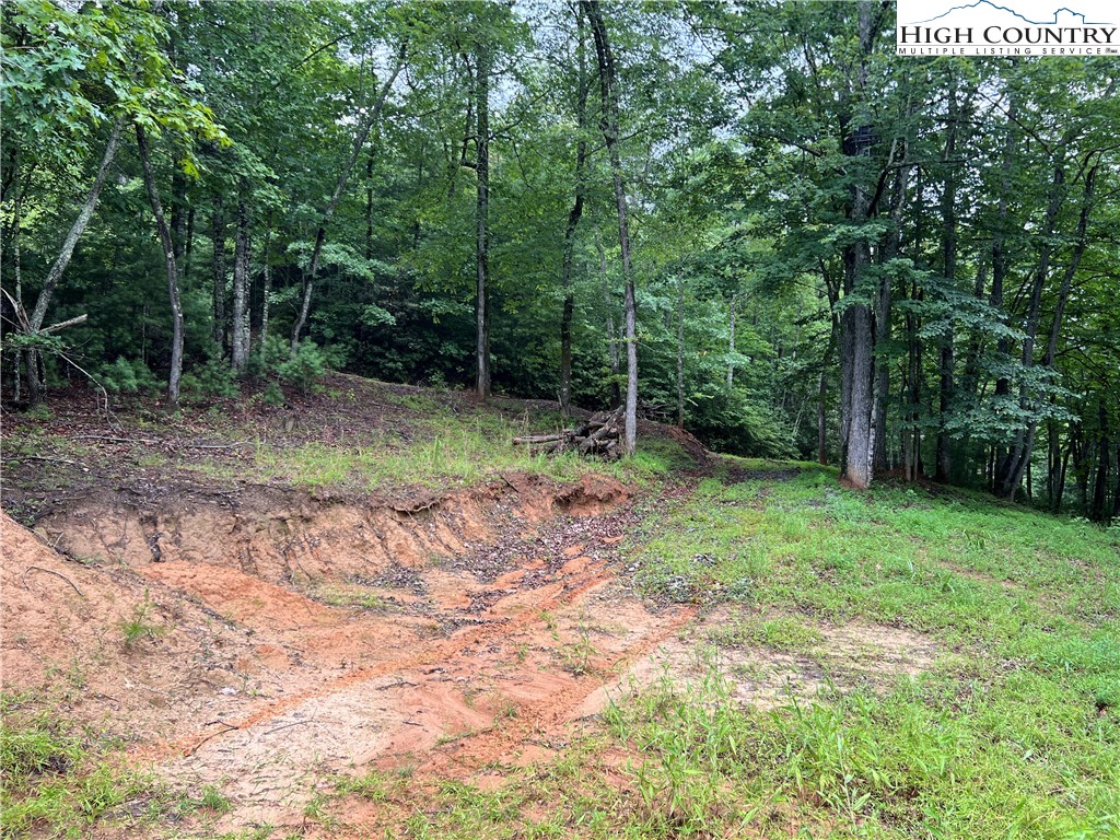 Staghorn Road Purlear, NC 28665 - Photo 9 of 50