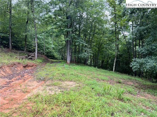 $149,900 | Staghorn Road, Purlear, NC 28665