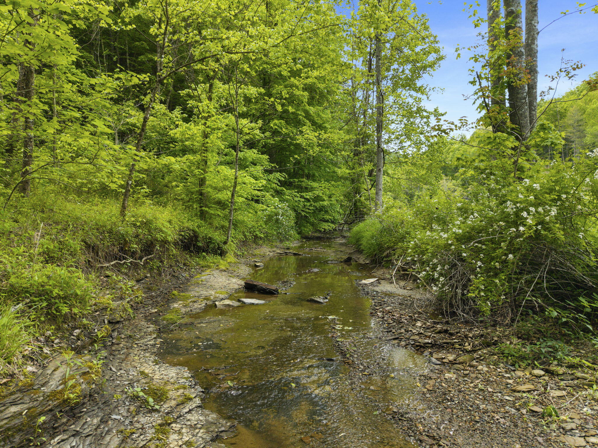 0 Jetts Creek Road Jackson, KY 41339 - Photo 27 of 31 27-web-or-mls-DJI_20260505153708_0073_D