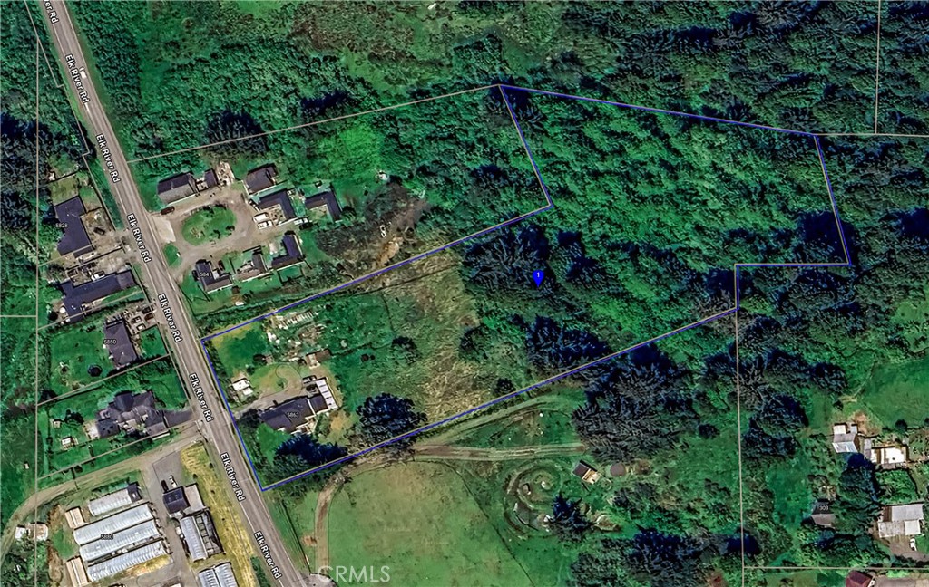 5863 Elk River Road Eureka, CA 95503 - Photo 5 of 42 a view of a yard with plants and large trees
