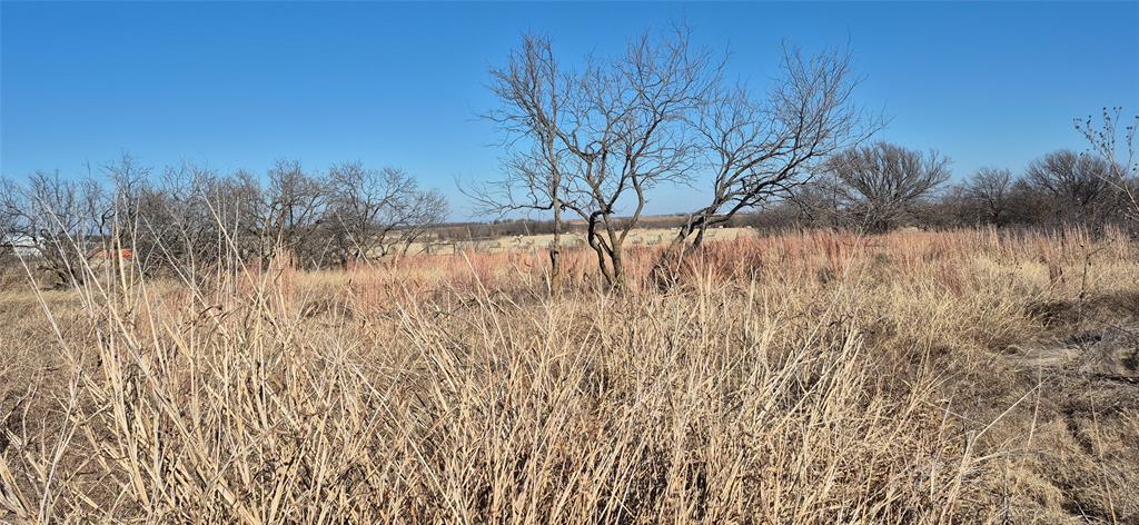 701 State Highway North Byers, TX 76357 - Photo 5 of 6 a view of a yard