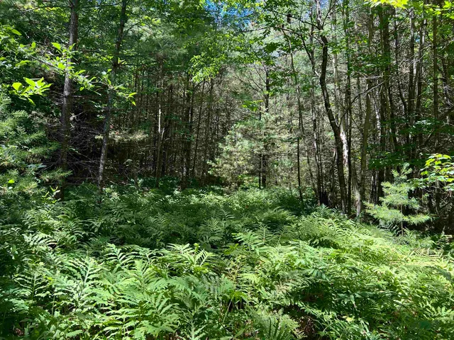 $525,000 | 0 Upper Mad River Road, Thornton, NH 03285