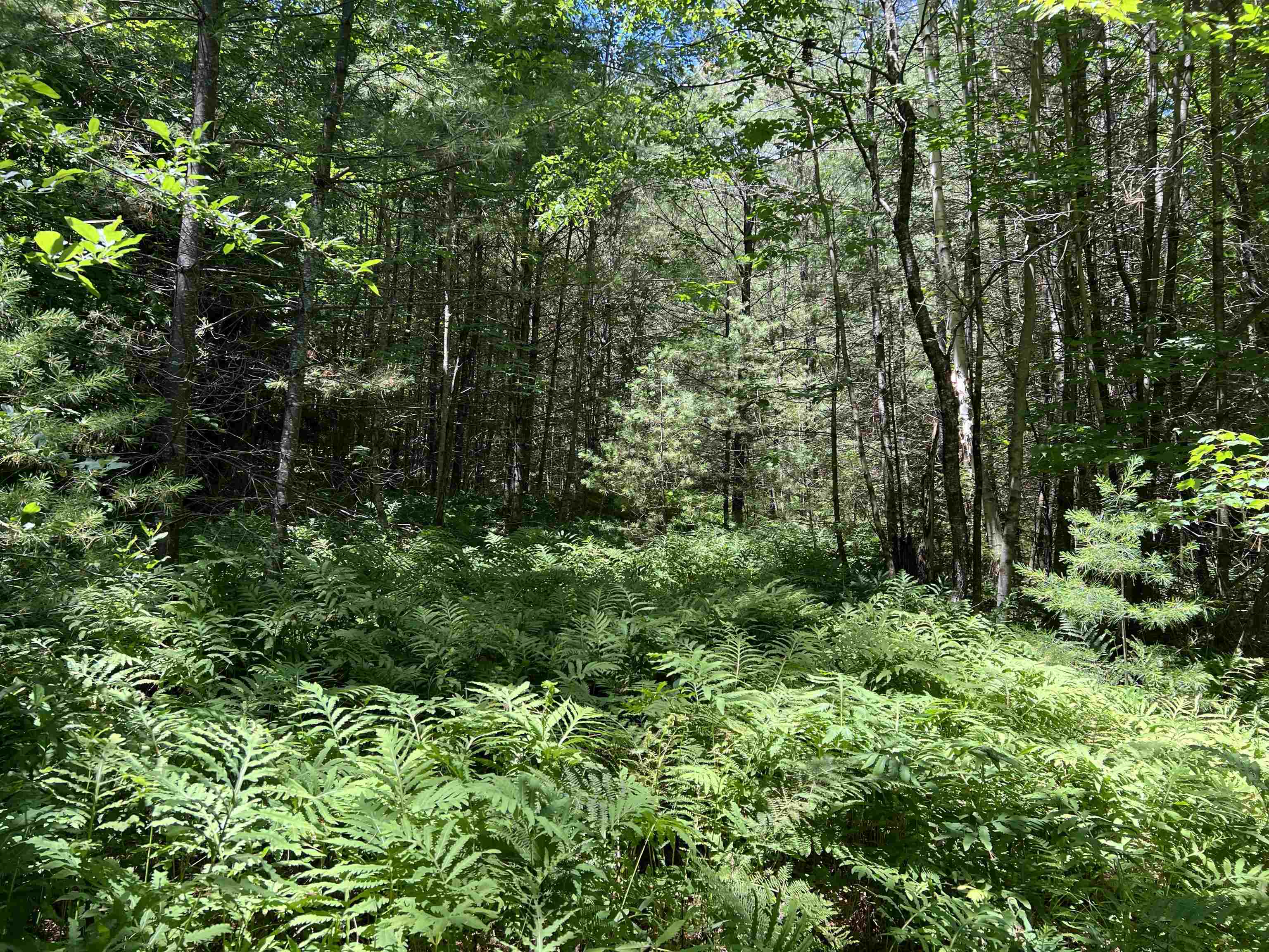 0 Upper Mad River Road Thornton, NH 03285 - Photo 2 of 10