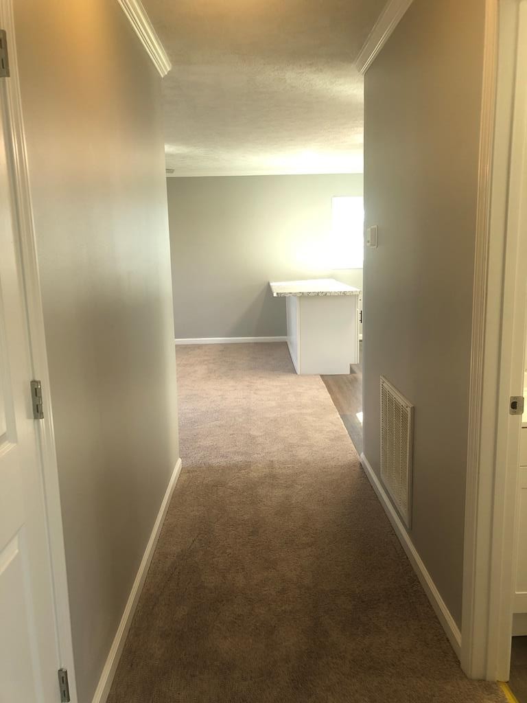 161 Roaring Springs Road LaFayette, KY 42254 - Photo 15 of 18 Gallery Image 15