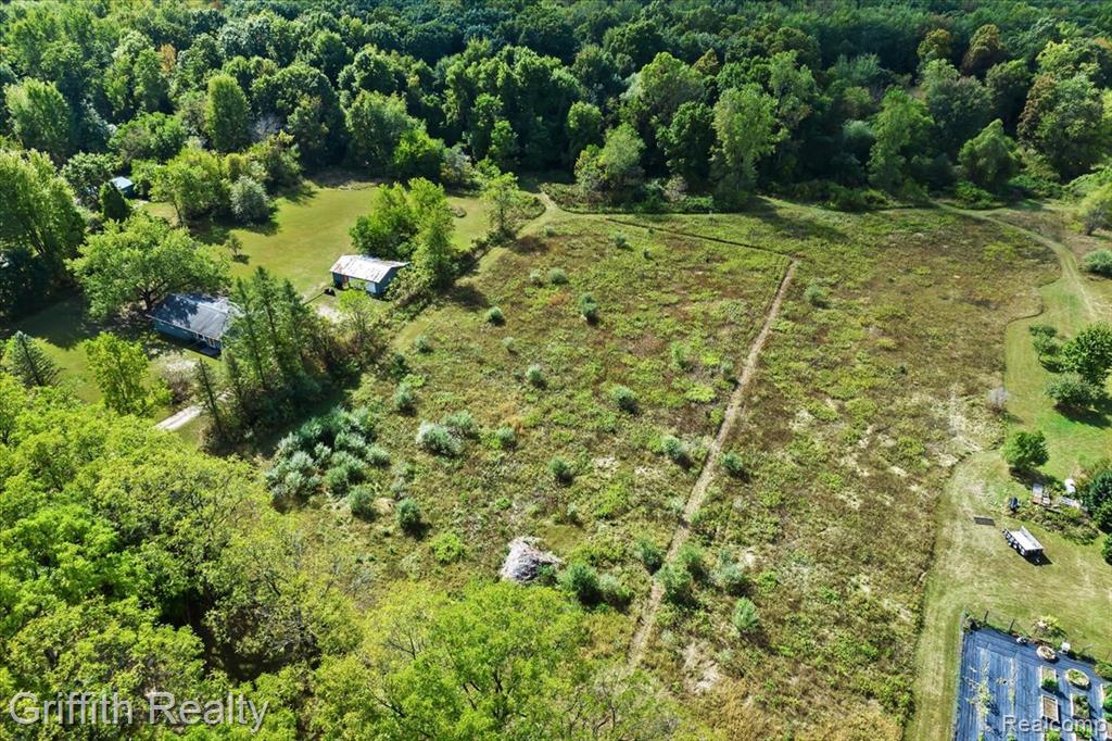 9800 Beeman Road Chelsea, MI 48118 - Photo 8 of 17