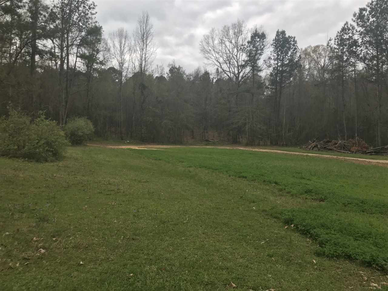 1497 North Jordan Street Carthage, MS 39051 - Photo 11 of 45 Photo 12
