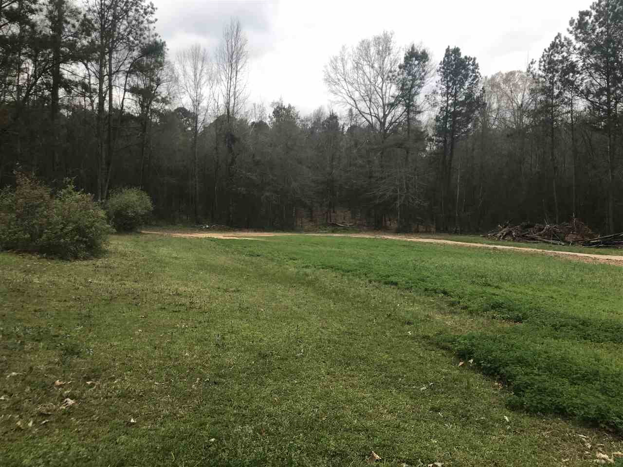 1497 North Jordan Street Carthage, MS 39051 - Photo 10 of 45 Photo 11