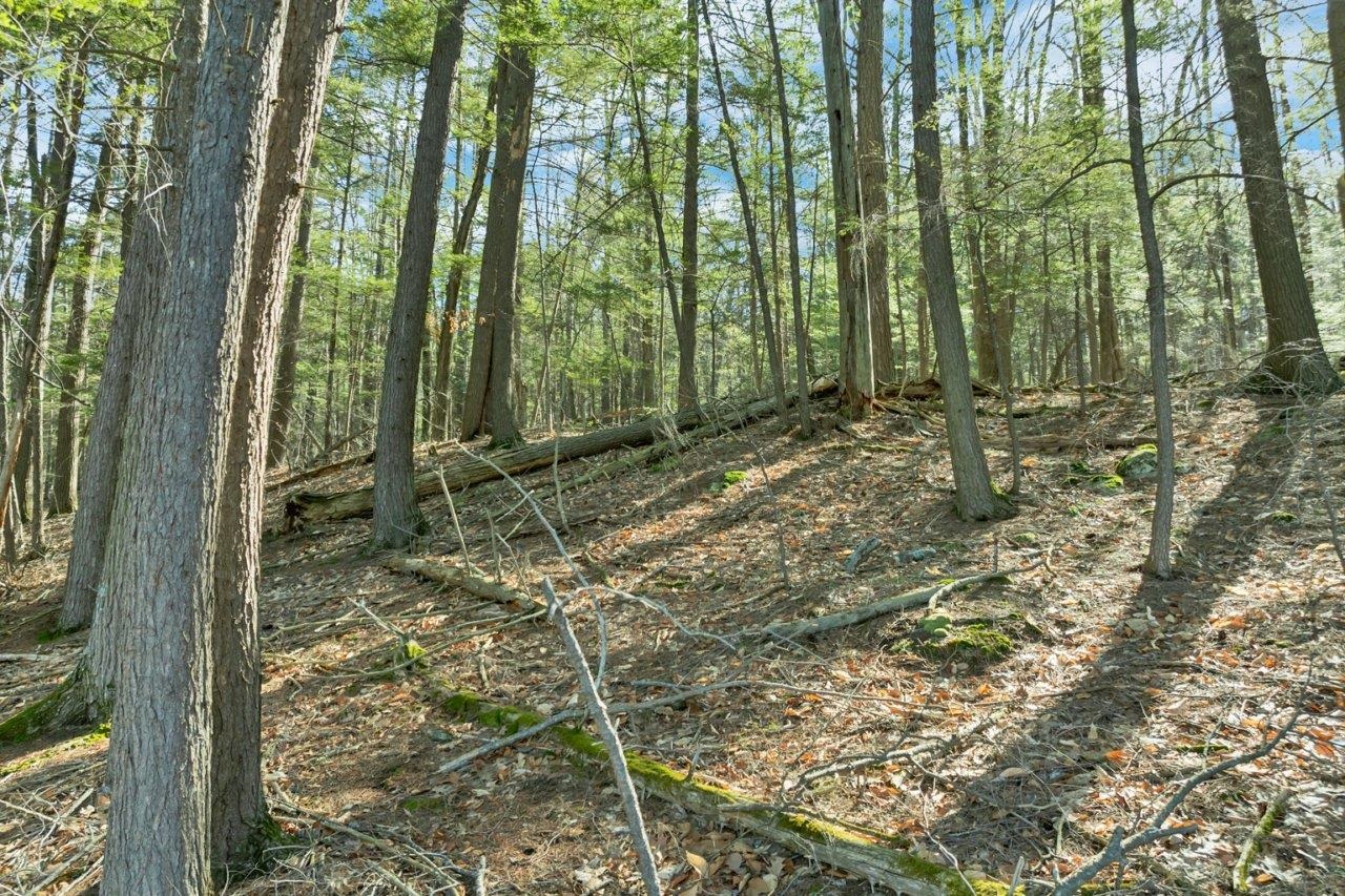 0 Pinnacle Park Road Meredith, NH 03253 - Photo 8 of 12 Gallery Image 8