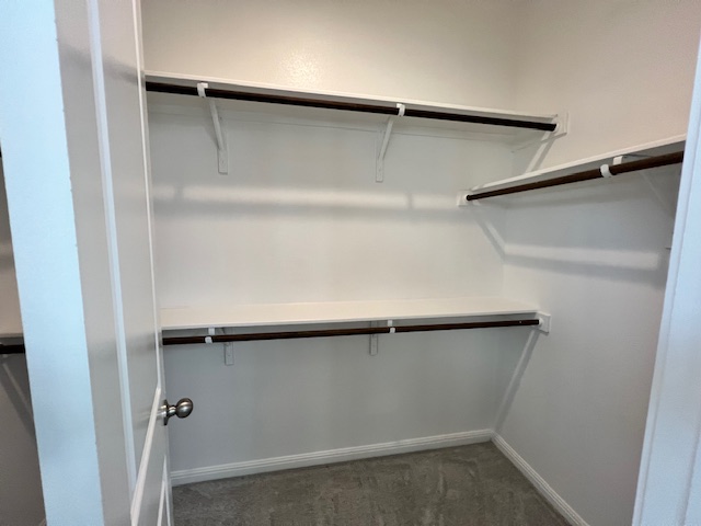 221 Arabian Colt Drive Georgetown, TX 78626 - Photo 19 of 36