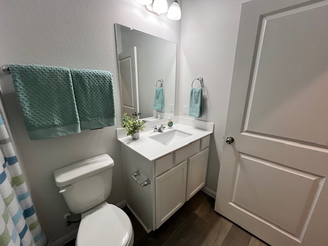 221 Arabian Colt Drive Georgetown, TX 78626 - Photo 23 of 36 a bathroom with a toilet sink and mirror