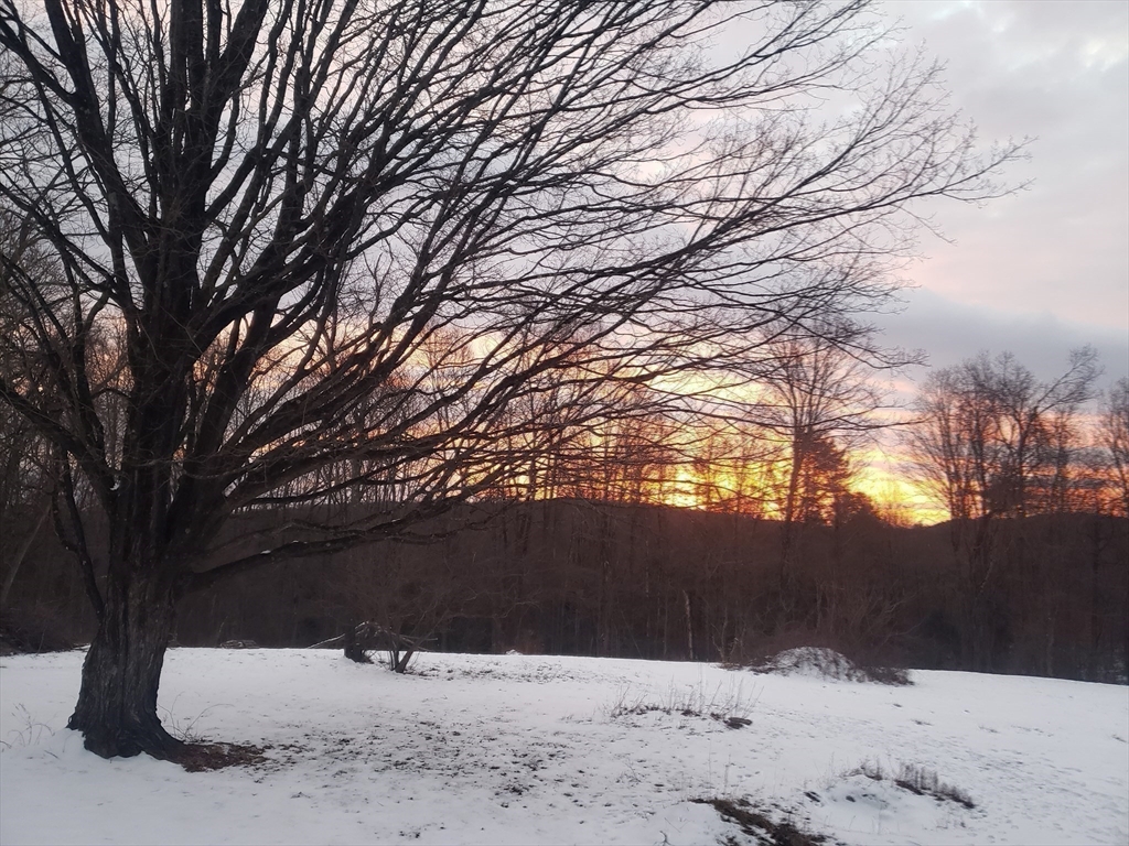 362 Kennedy Road Northampton, MA 01053 - Photo 35 of 42