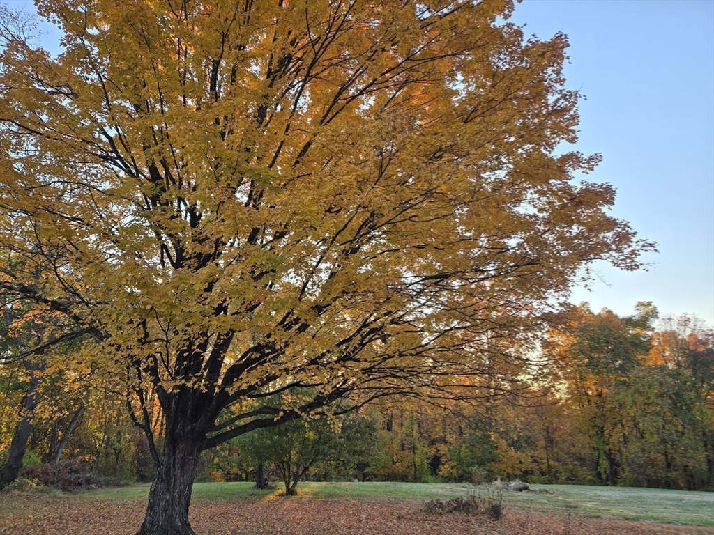 362 Kennedy Road Northampton, MA 01053 - Photo 37 of 42