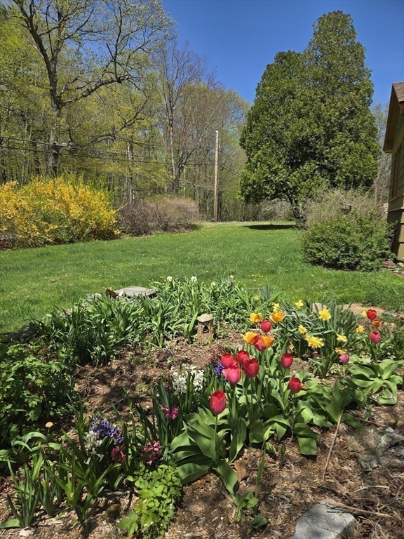 362 Kennedy Road Northampton, MA 01053 - Photo 38 of 42