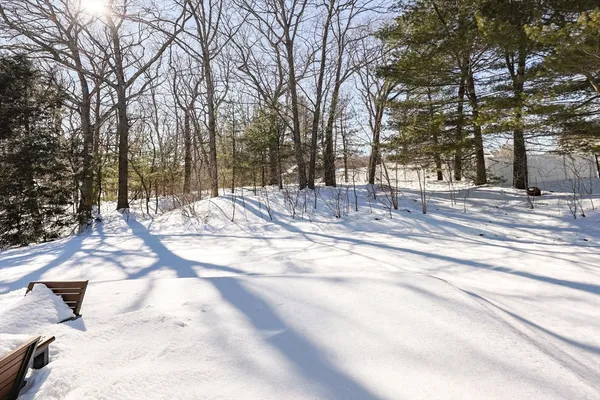 a view of a yard with large trees