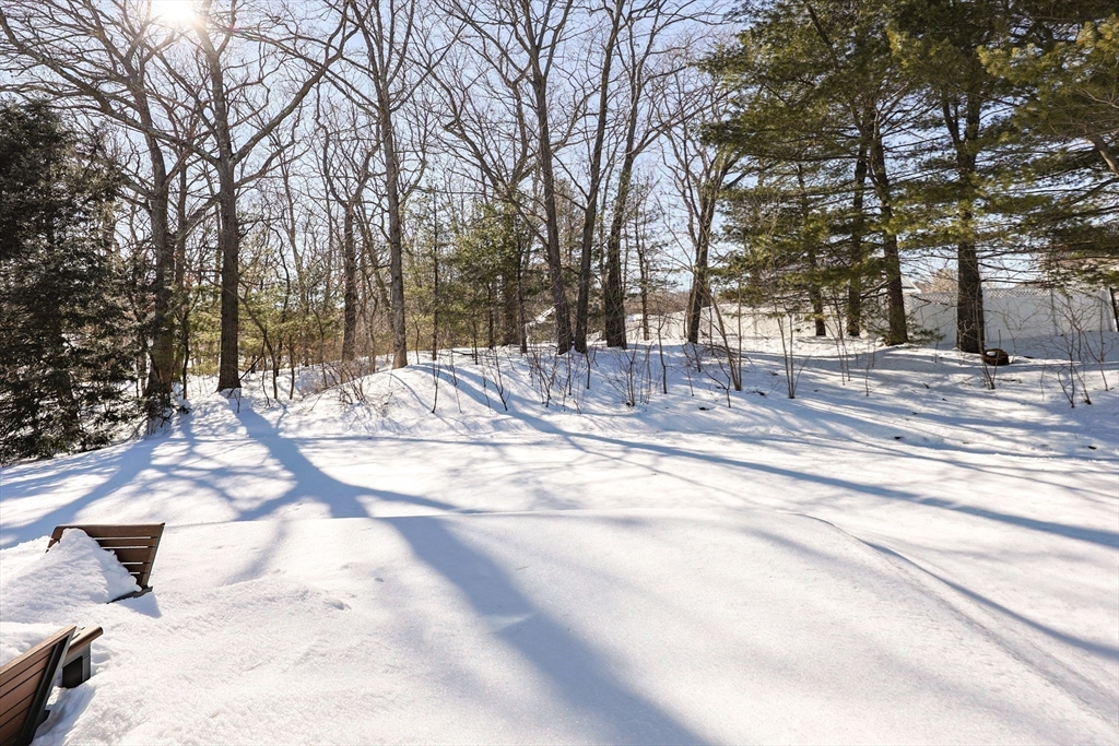 81 Parish Road Needham, MA 02494 - Photo 35 of 38
