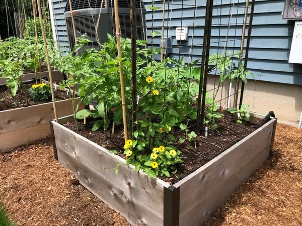a wooden box filled with plants and flowers
