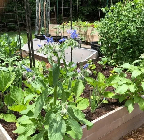 a bunch of flowers in the garden