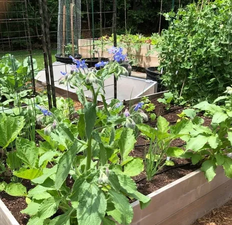 a bunch of flowers in the garden