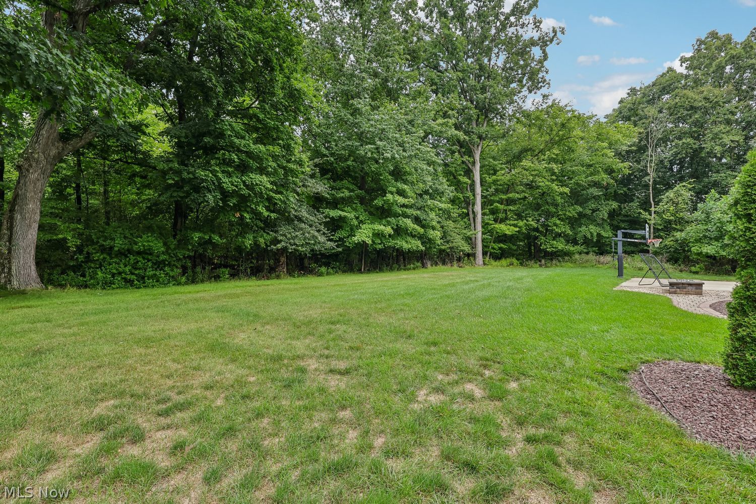 6836 Kyle Ridge Pointe Canfield, OH 44406 - Photo 5 of 45 Backyard faces a nature preserve making it very private. There will be no future houses built