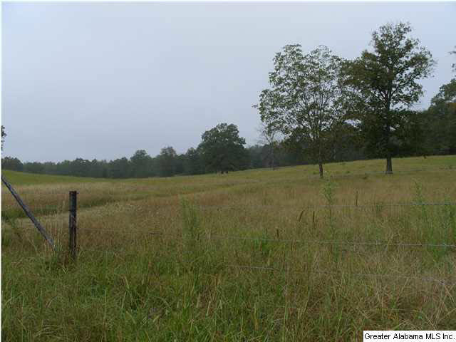 8741 Bluff Ridge Road, Unit 1 Bessemer, AL 35022 - Photo 1 of 2 Gallery Image 1