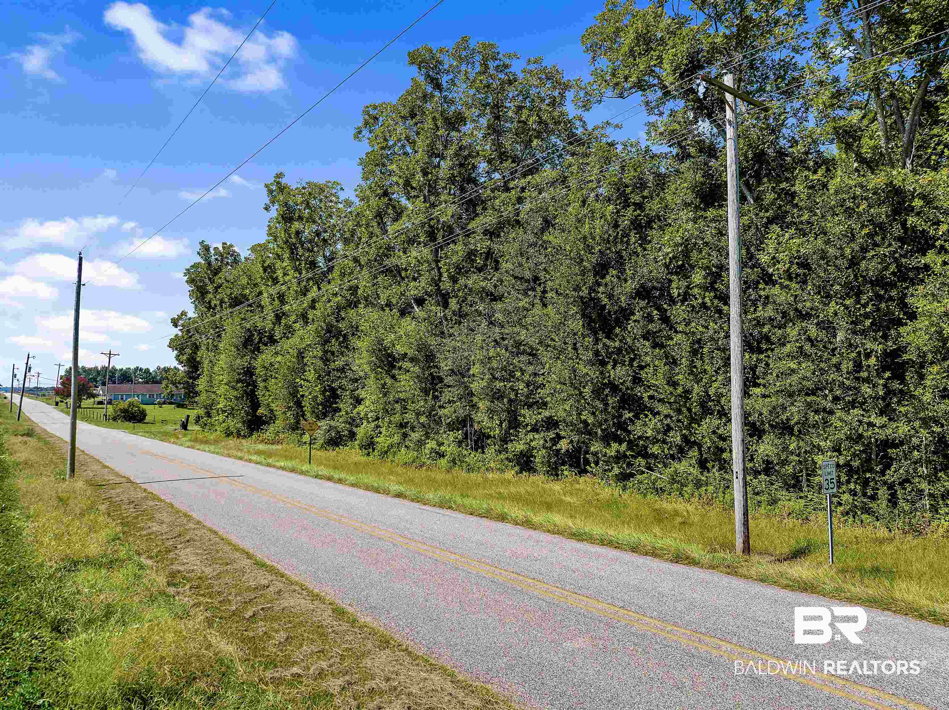 0 County Road 83 Robertsdale, AL 36567 - Photo 18 of 18