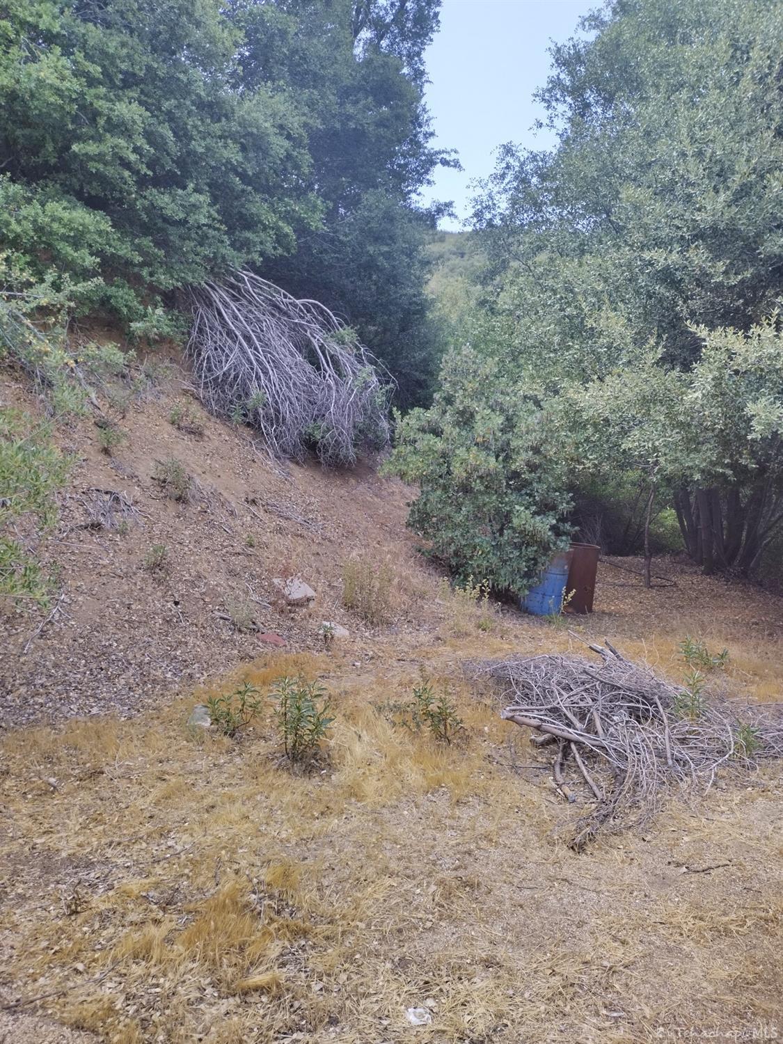 0 Pine Spring Road Caliente, CA 93518 - Photo 22 of 34 Gallery Image 22