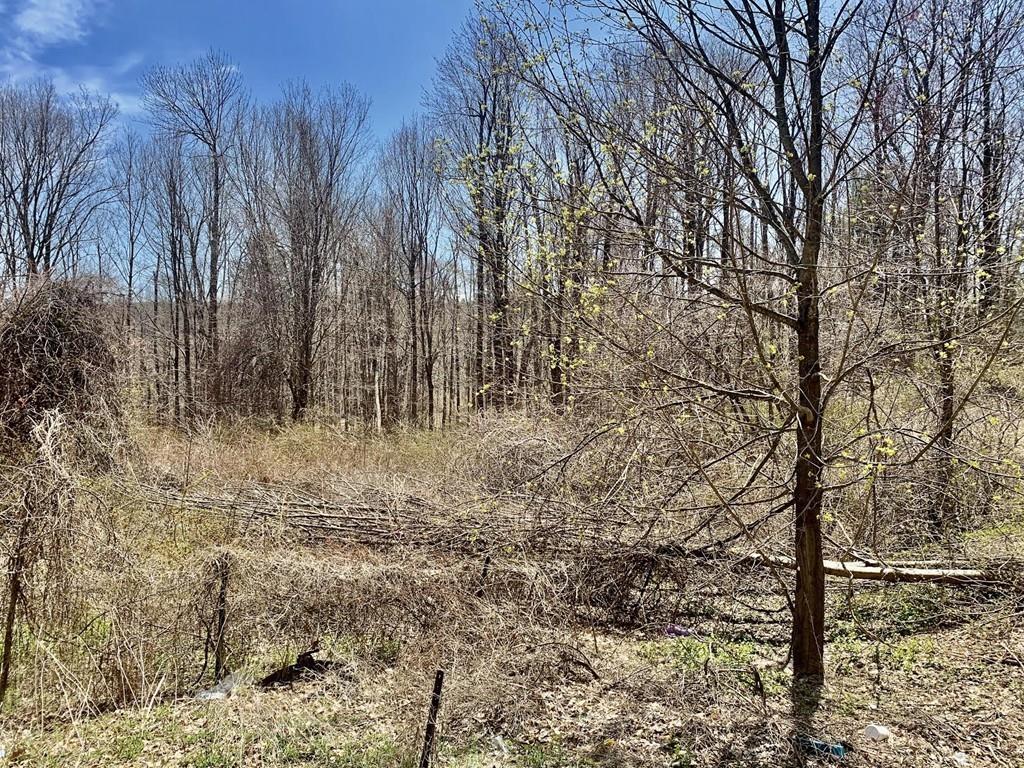 113 Nourse Road Ashby, MA 01431 - Photo 21 of 22 Gallery Image 21