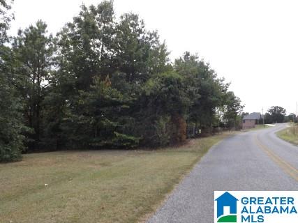 8455 Pine Mountain Road Springville, AL 35146 - Photo 34 of 39 Gallery Image 34