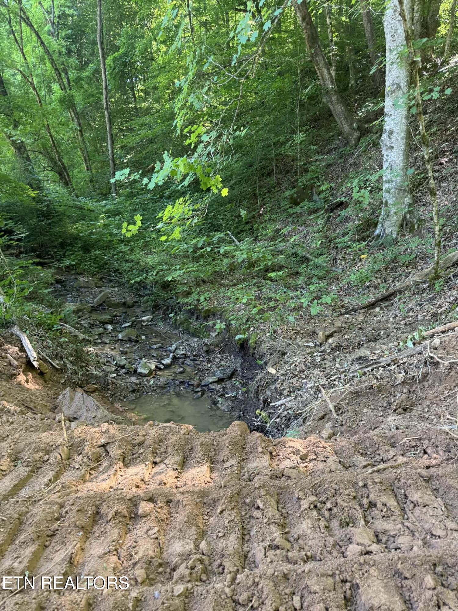 Tower Road Tazewell, TN 37879 - Photo 2 of 9 att.jm03kMmTtSriLL_w1B2zxC73AcyPdCh2sK9o