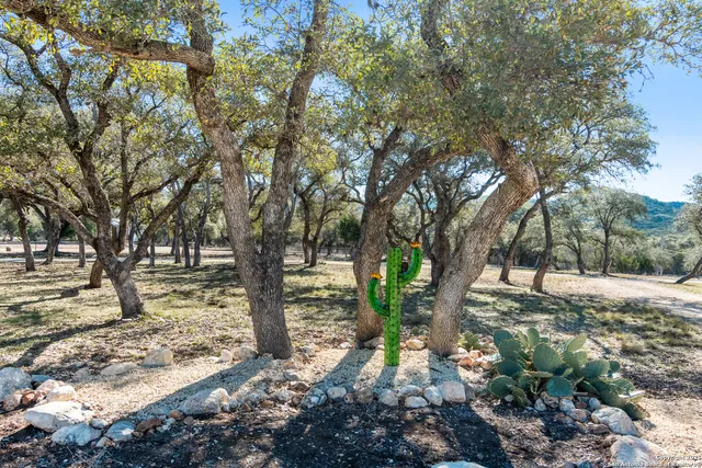 $659,000 | 381 Cam Primero, Leakey, TX 78873