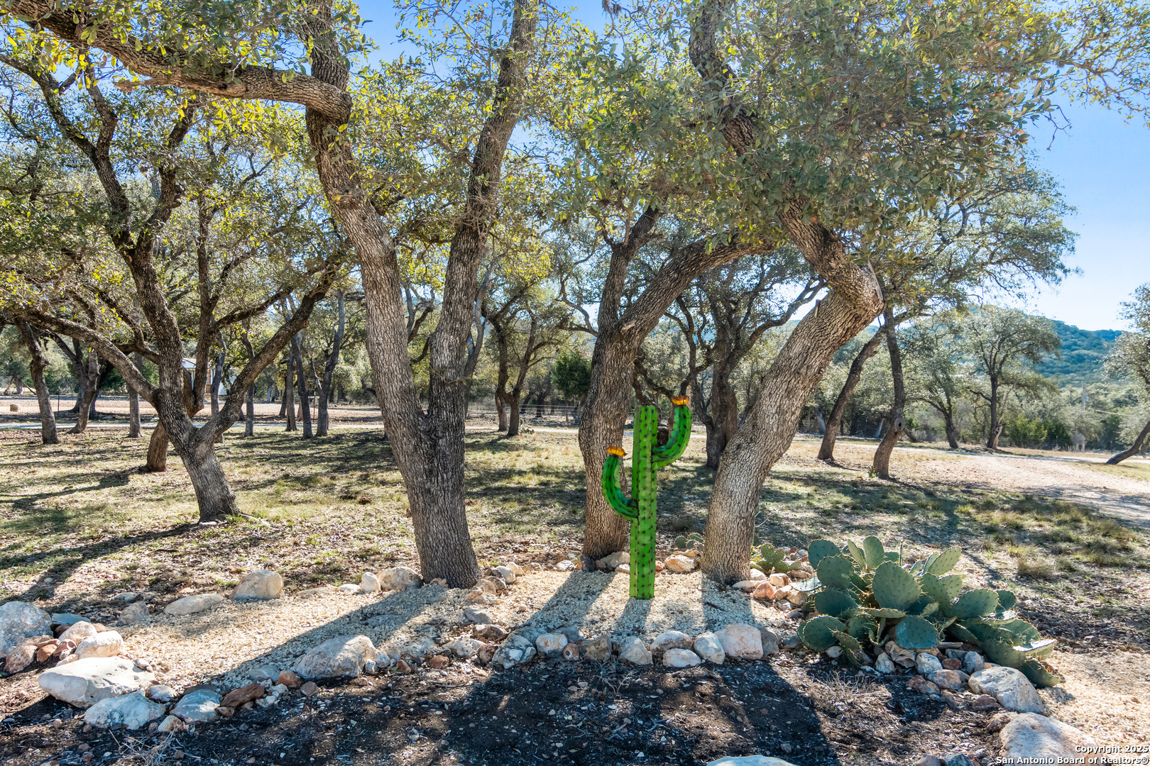 381 Cam Primero Leakey, TX 78873 - Photo 49 of 56