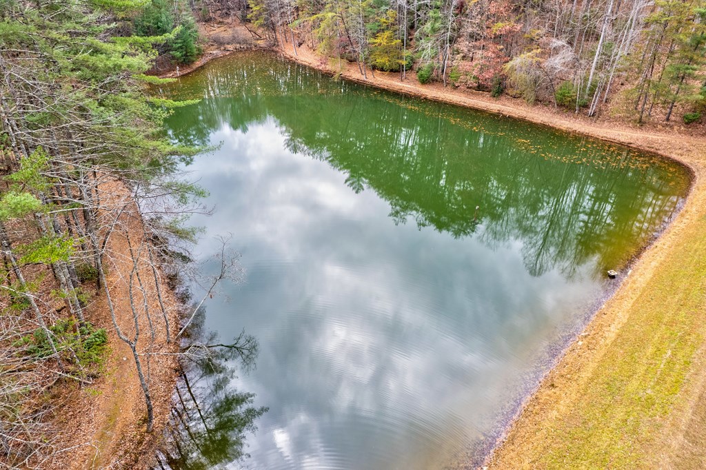 96 Clubhouse Court Ellijay, GA 30536 - Photo 12 of 56 a view of a lake from a balcony