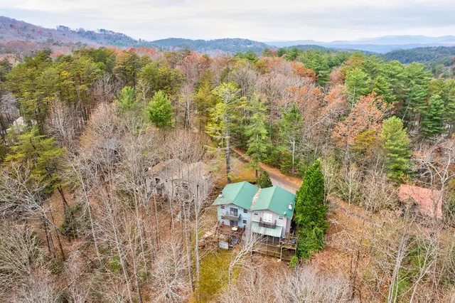 a view of a city with mountains in the background