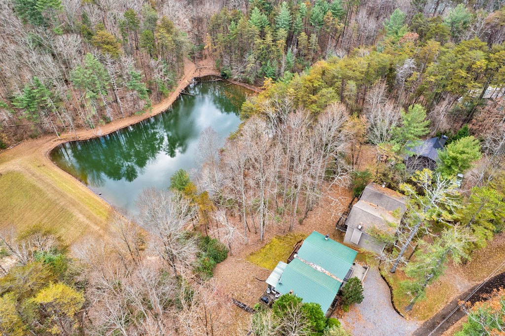 96 Clubhouse Court Ellijay, GA 30536 - Photo 17 of 56 a view of a lake with a yard