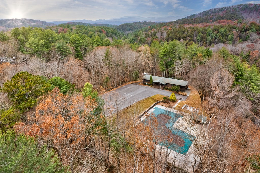 96 Clubhouse Court Ellijay, GA 30536 - Photo 18 of 56 a view of a backyard of a house