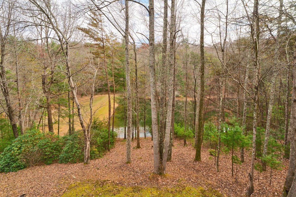 96 Clubhouse Court Ellijay, GA 30536 - Photo 36 of 56