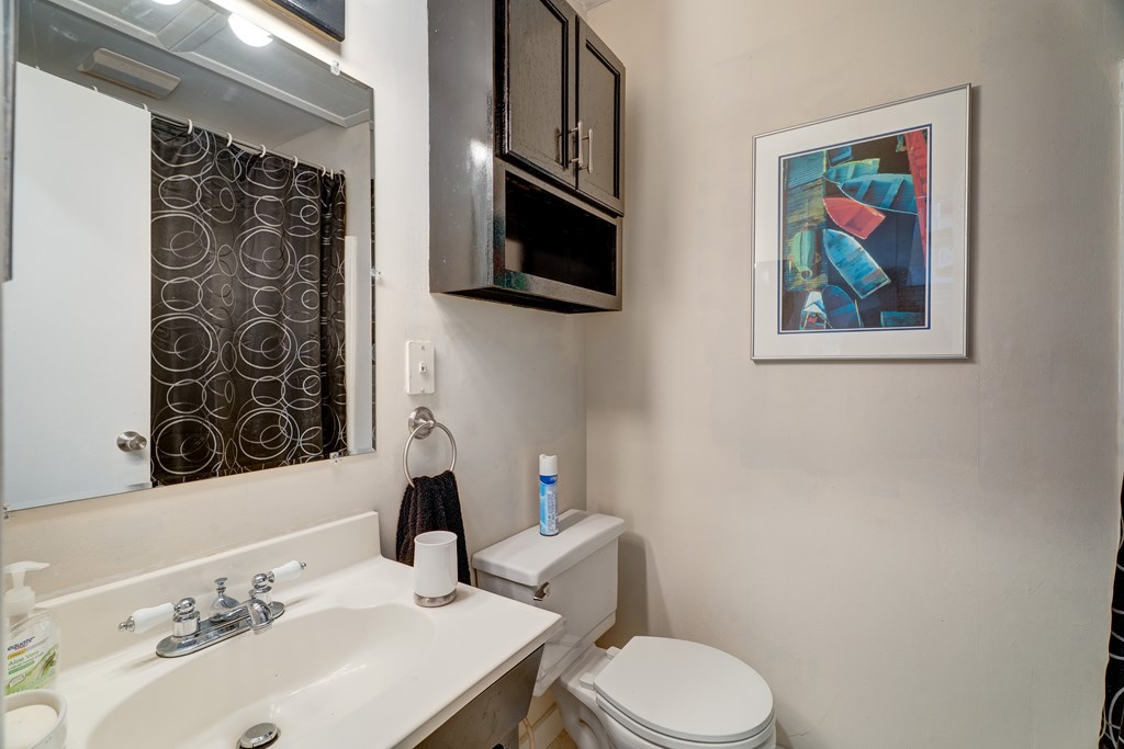 96 Clubhouse Court Ellijay, GA 30536 - Photo 39 of 56 a bathroom with a toilet a sink and mirror