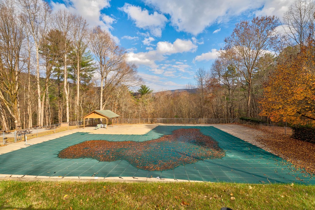 96 Clubhouse Court Ellijay, GA 30536 - Photo 55 of 56 a view of yard with swimming pool