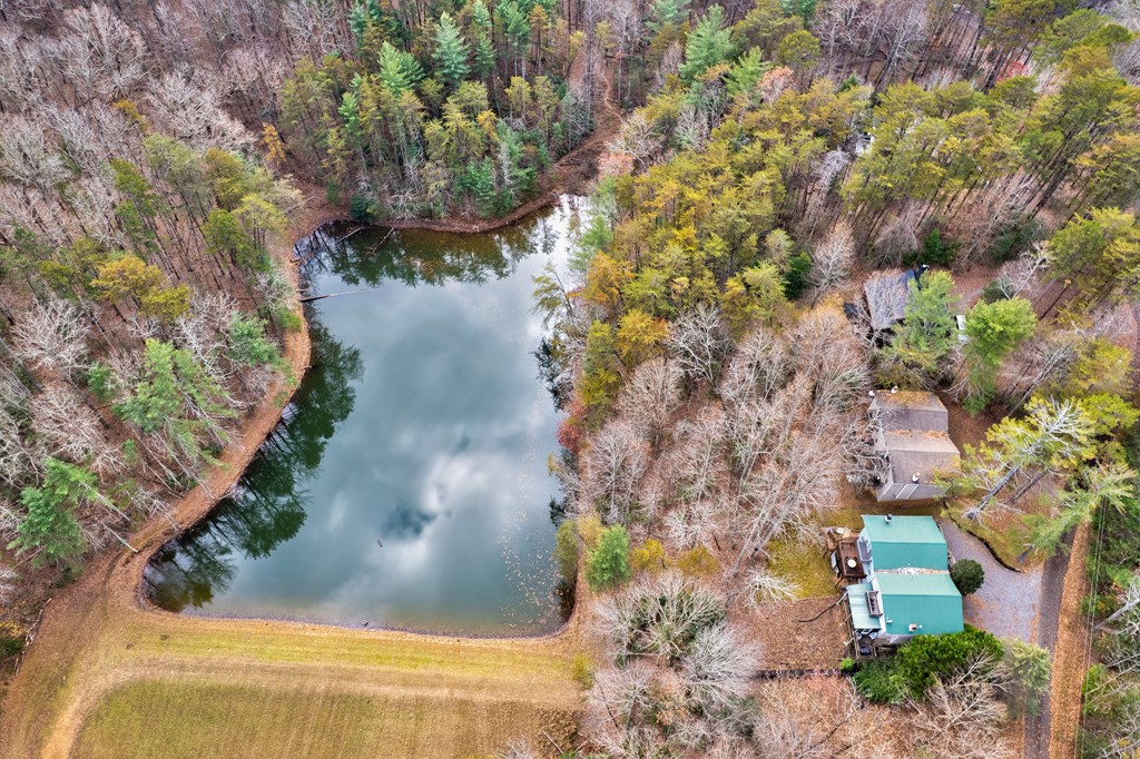 96 Clubhouse Court Ellijay, GA 30536 - Photo 10 of 56 a view of a yard