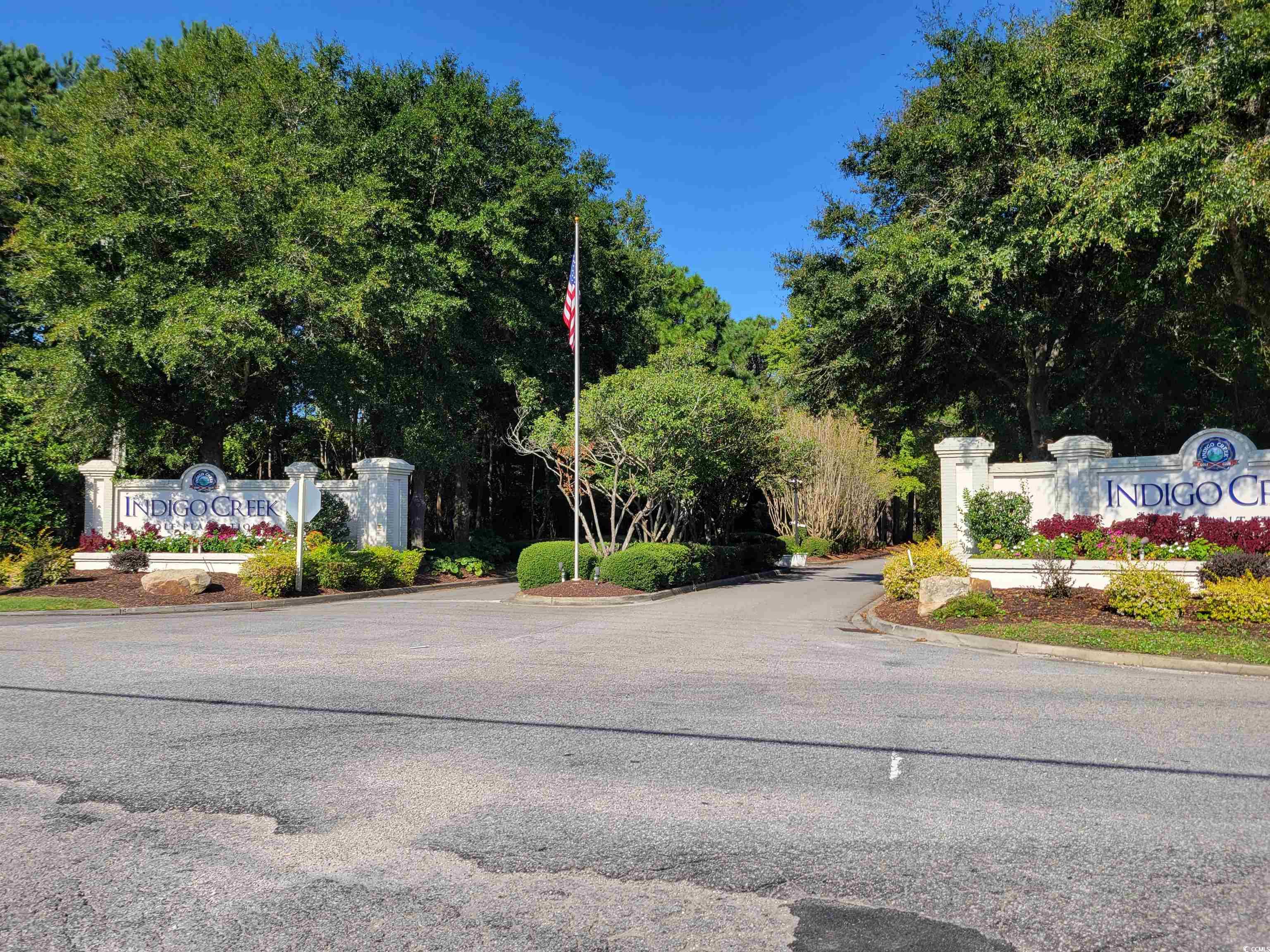 1481 Riceland Court Murrells Inlet, SC 29576 - Photo 4 of 30 View of road