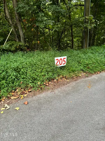 $29,900 | 205 Ox Bow Avenue, Unit 205, Unicoi, TN 37692