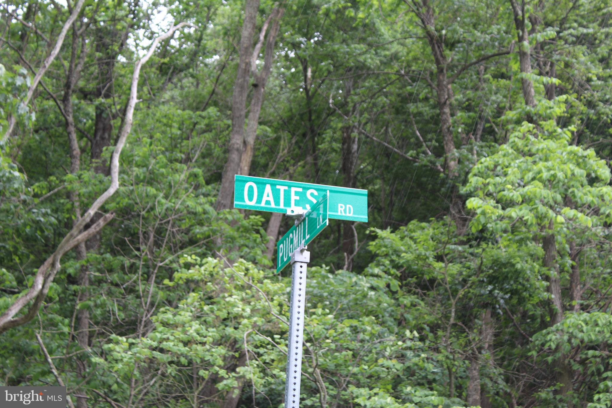 0 Oates Road Star Tannery, VA 22654 - Photo 1 of 25 View from road