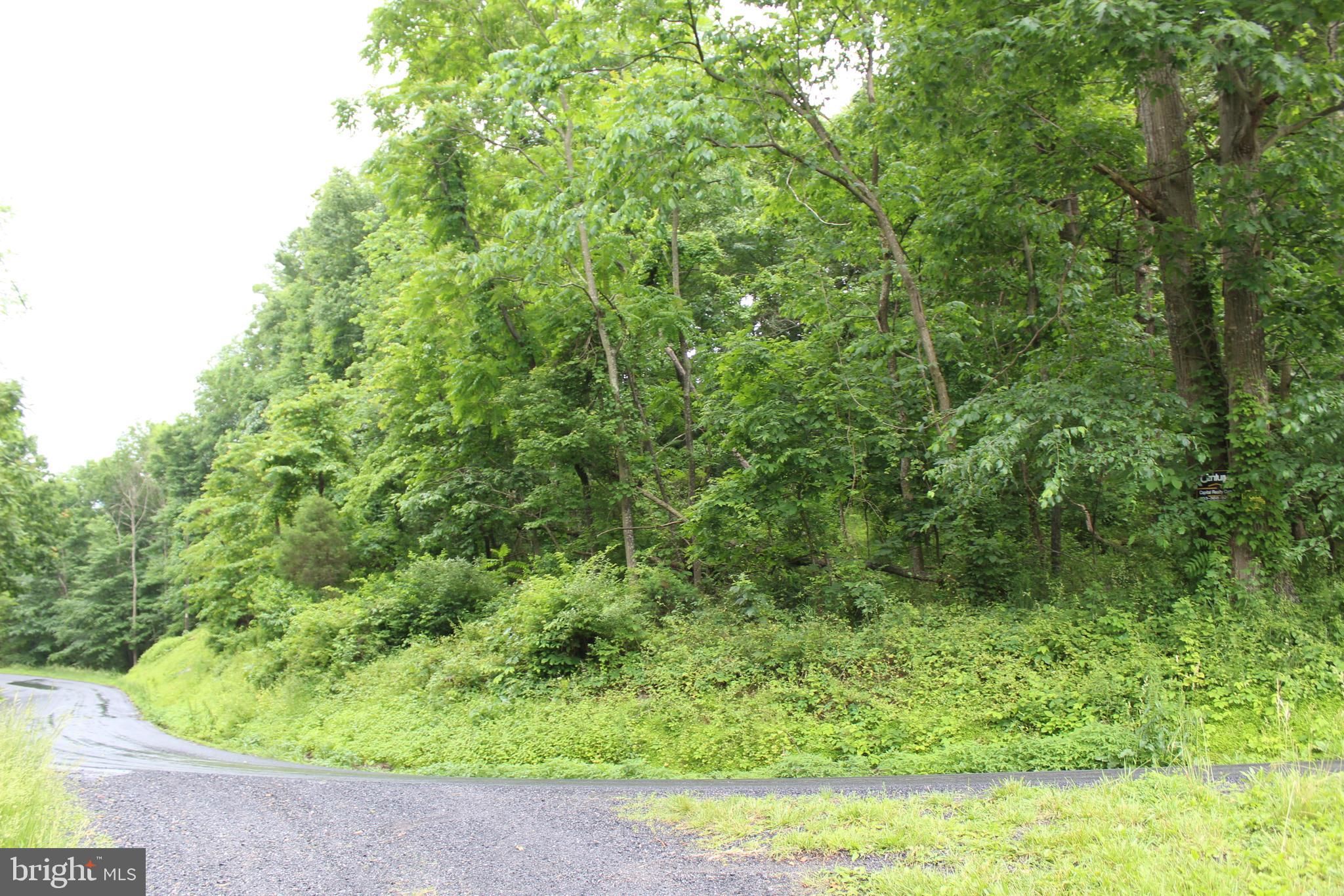 0 Oates Road Star Tannery, VA 22654 - Photo 14 of 25 View from road