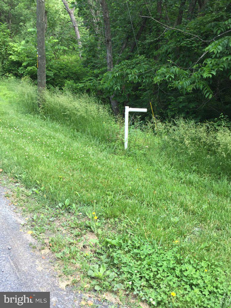 0 Oates Road Star Tannery, VA 22654 - Photo 22 of 25 View from road/Marker.