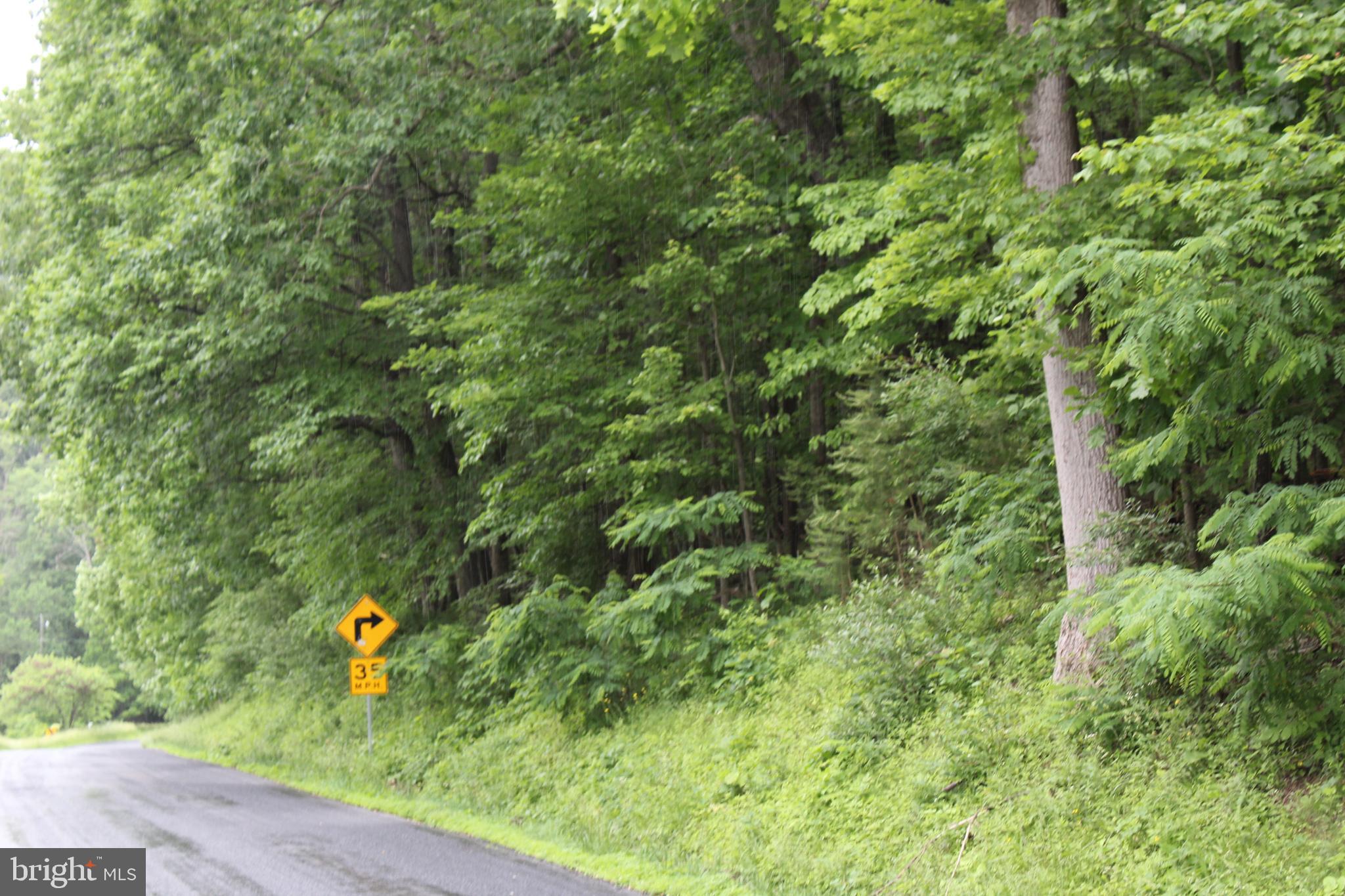 0 Oates Road Star Tannery, VA 22654 - Photo 7 of 25 View from road