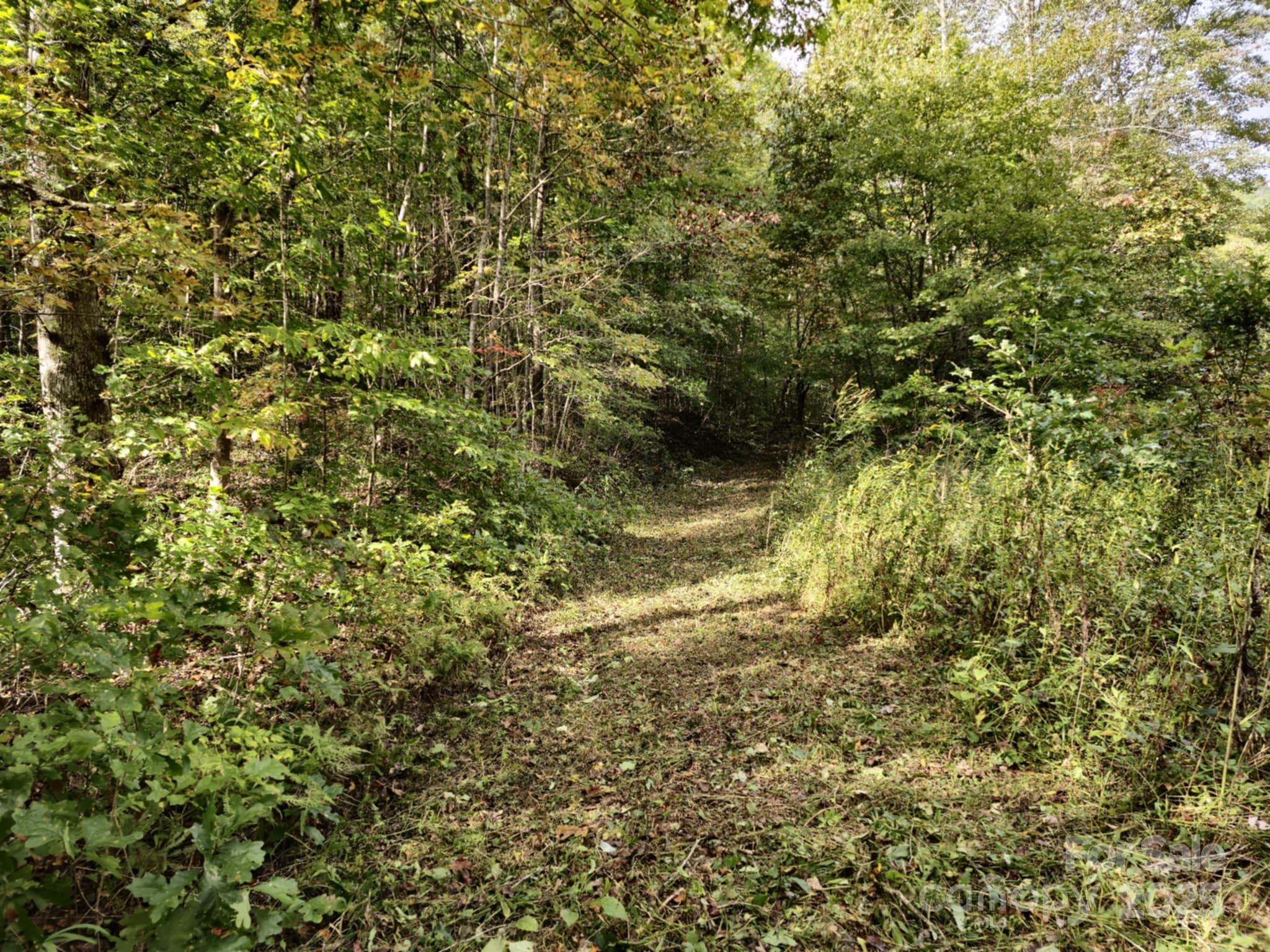2921 Painters Gap Road Union Mills, NC 28167 - Photo 11 of 44 a view of a yard