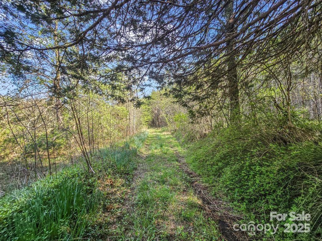 2921 Painters Gap Road Union Mills, NC 28167 - Photo 12 of 44 a view of a big yard with large trees