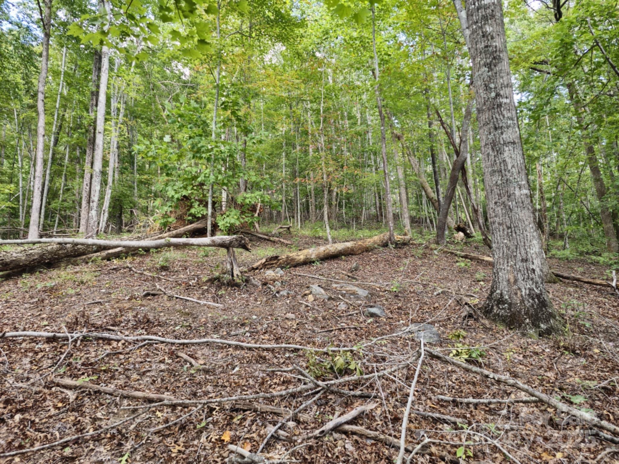 2921 Painters Gap Road Union Mills, NC 28167 - Photo 13 of 44 a view of outdoor space with deck and yard