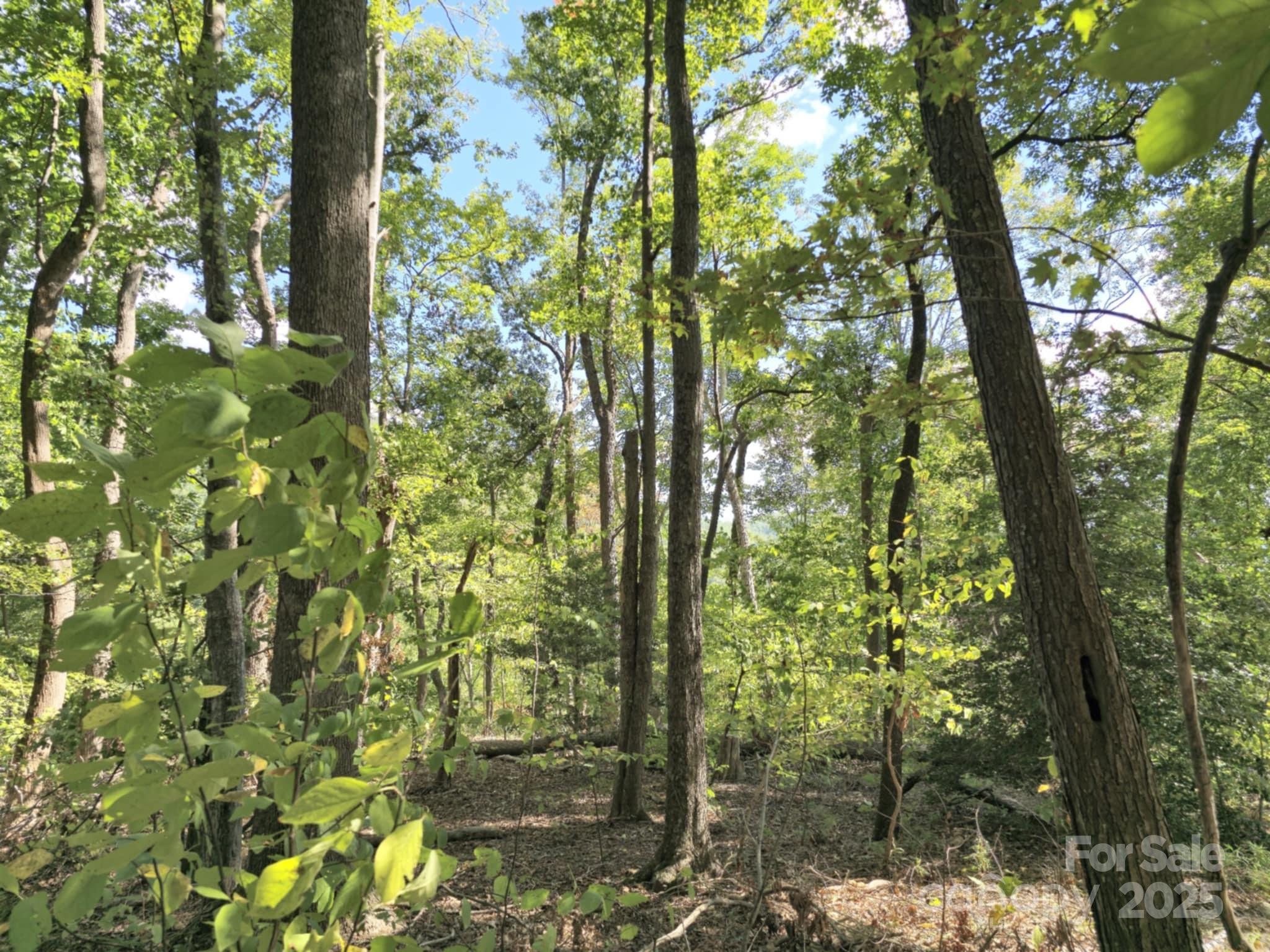 2921 Painters Gap Road Union Mills, NC 28167 - Photo 15 of 44